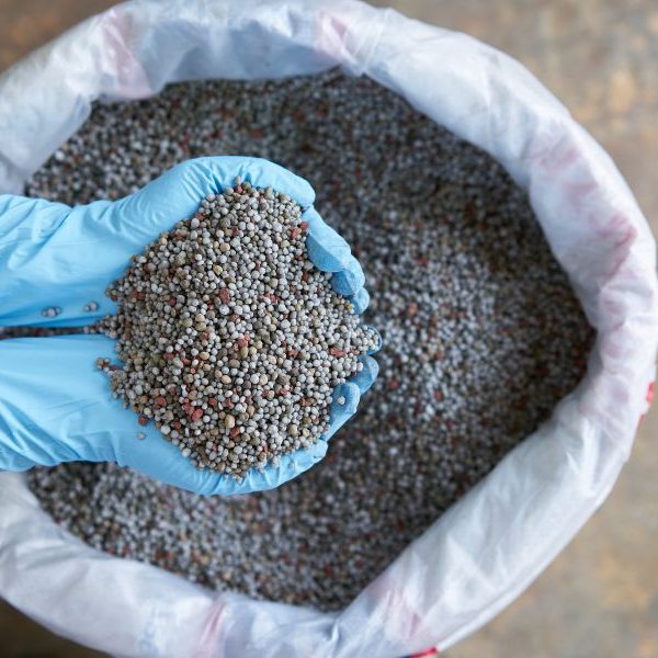 Phân lân dạng hột